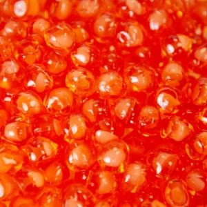 A close up of red beads in the water.