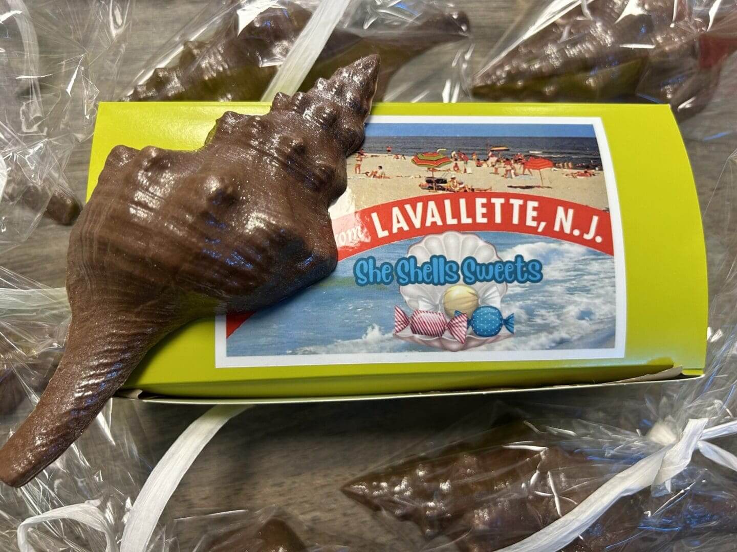 Chocolate seashell-shaped candies from Lavallette, NJ.