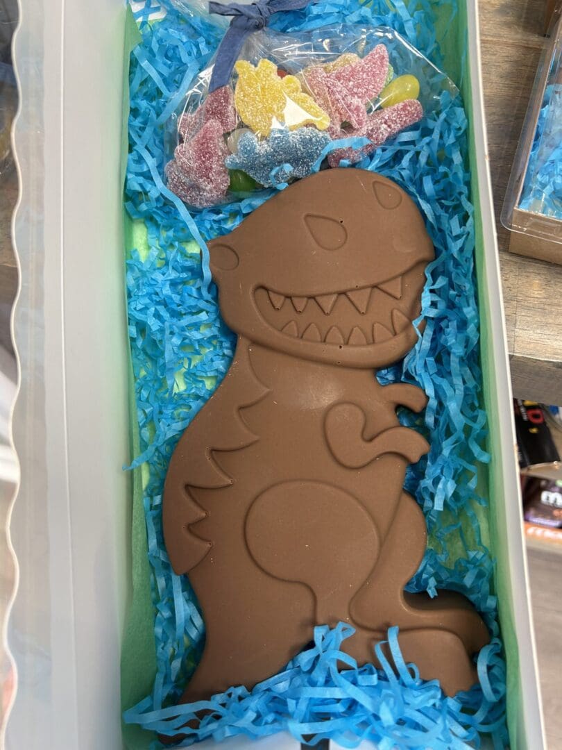 Chocolate dinosaur cake with blue and pink frosting accents.